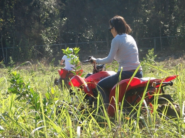 Practica en el campo